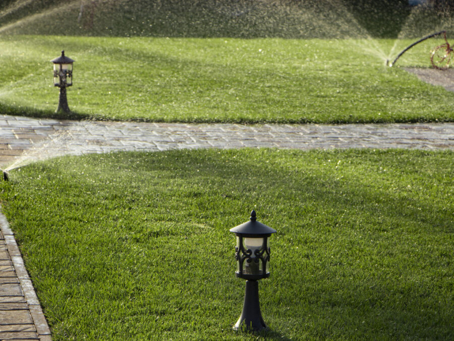 Innaffiare il giardino: quando irrigare e per quanto tempo